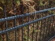 Kovový plot