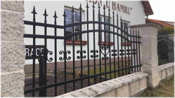 kovový plot Economy HARMONY kovový plot se zdobením plotového dílce a špičkami